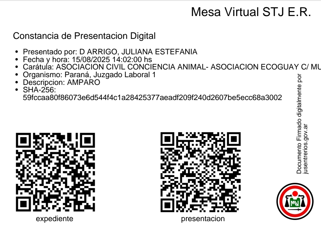 Recurso de Amparo