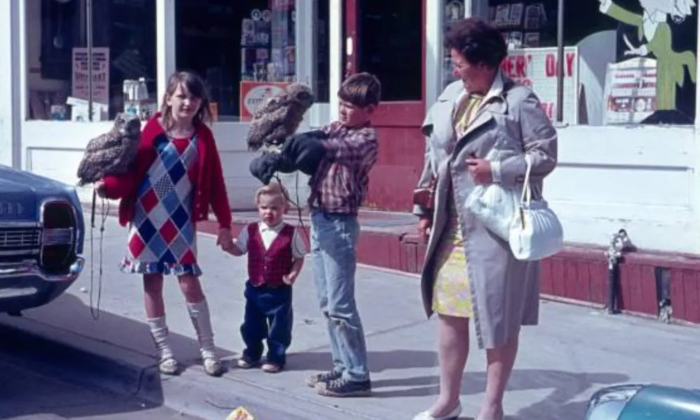 familiapersonas criadas los 60 y 70