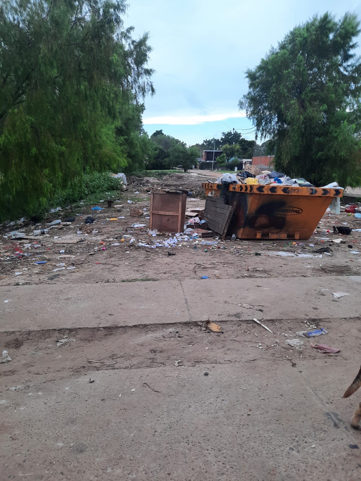 a471359e 5eac 45a3 9541 94281fbbb33a