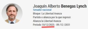 benegas lynch senador nacional x er