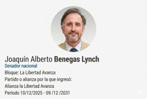 joaquin benegas lynch senador x entre rios