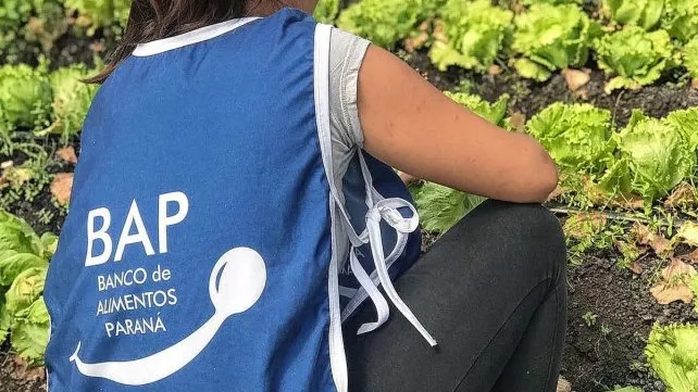 banco alimentos parana