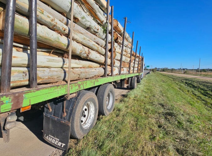 camion palero