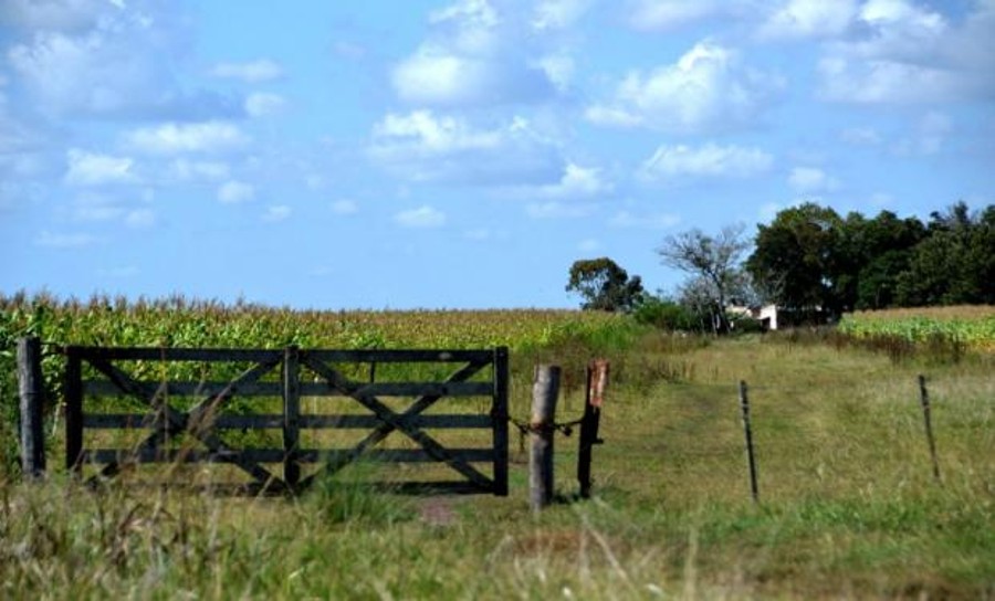 campo entrerriano