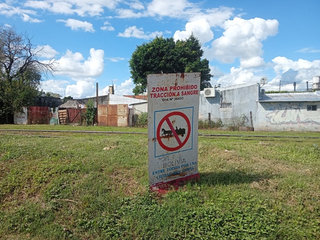 cartel tas