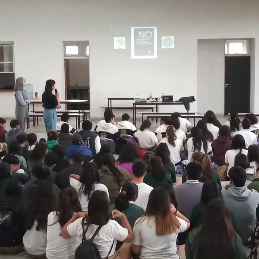 curso tekoa