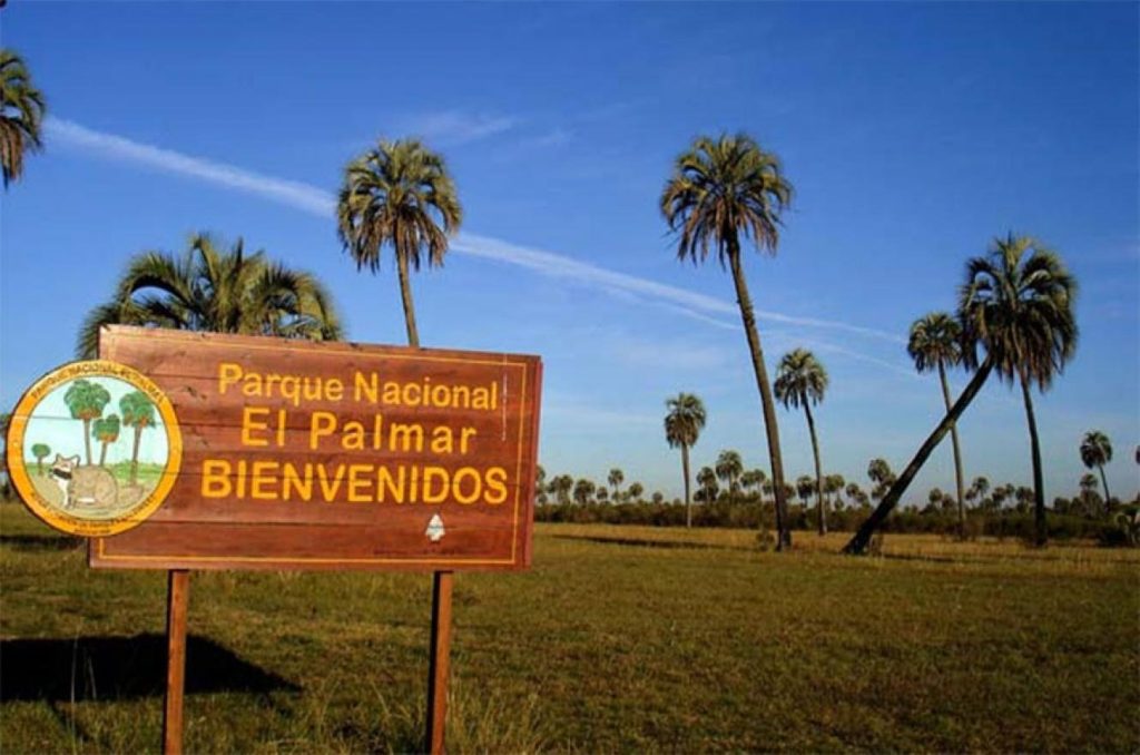el palmar 3