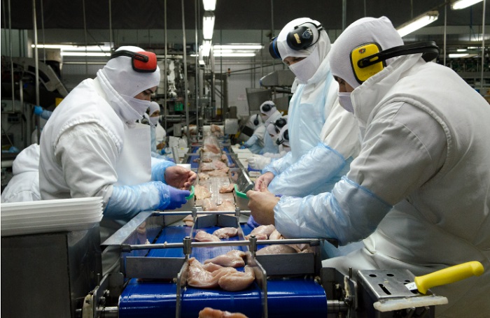 exportaciones