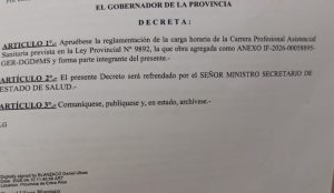 frigerio decreto carga horaria salud