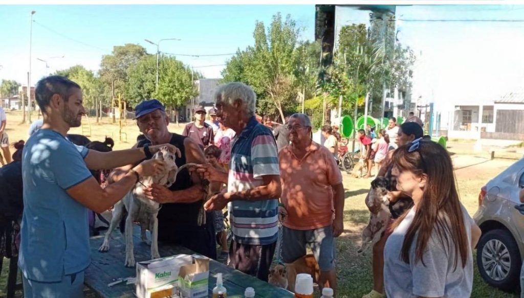 animales ordenanza banca del pueblo
