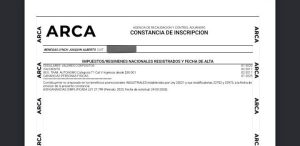benegas lynch inocencia fiscal