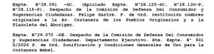 costanera despacho en comisión