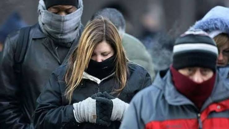 frio polar