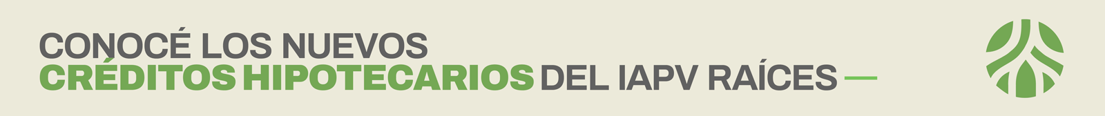 1600x168 banner raices