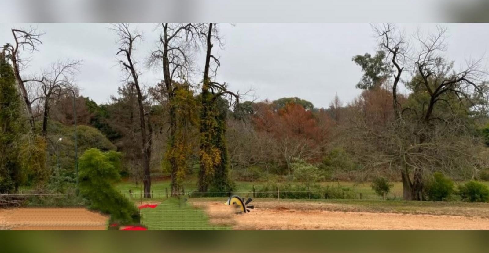 Restringen el paso en un sector del Parque San Carlos por riesgo de caída de árboles