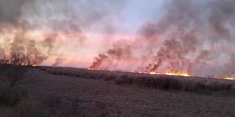 incendios islas delta 750x375