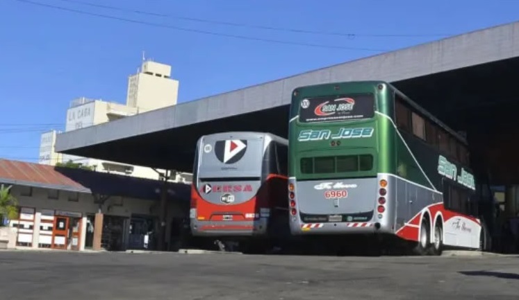 colectivos