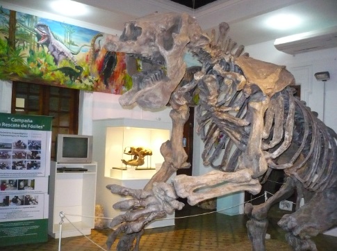 museo