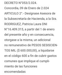 patricia bullrich almorzando decreto código 600