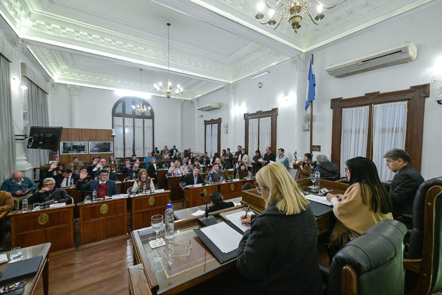senado er 2024