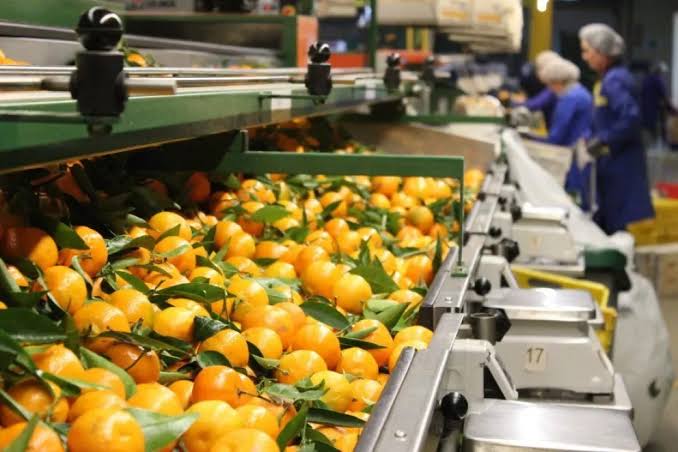 Cresto y Bahillo impulsan proyecto de ley para «sostener la citricultura entrerriana»
