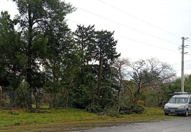 foto temporal