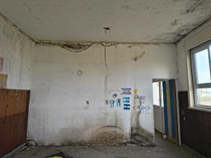 fb img 1789770597766