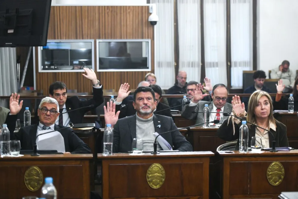 senadores jxer