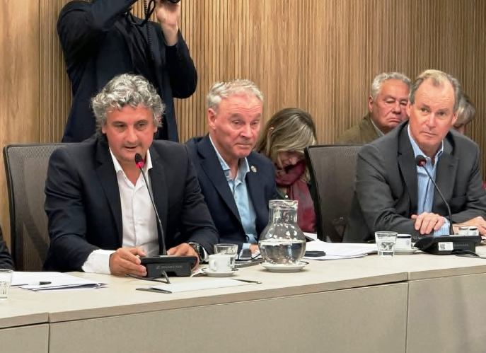 bravo bordet