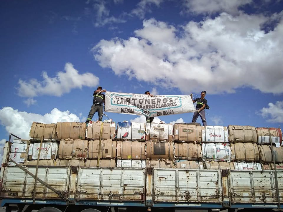 cartoneros congreso