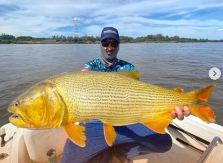 dorado la zona
