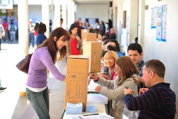 elecciones paso