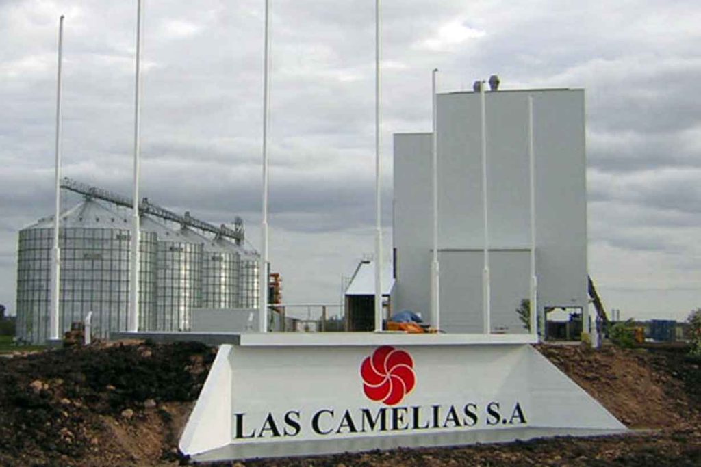 las camelias.jgp
