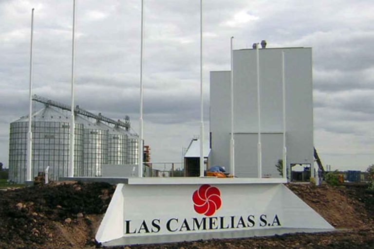 las camelias.jgp