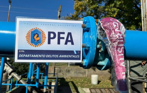 pig clausura
