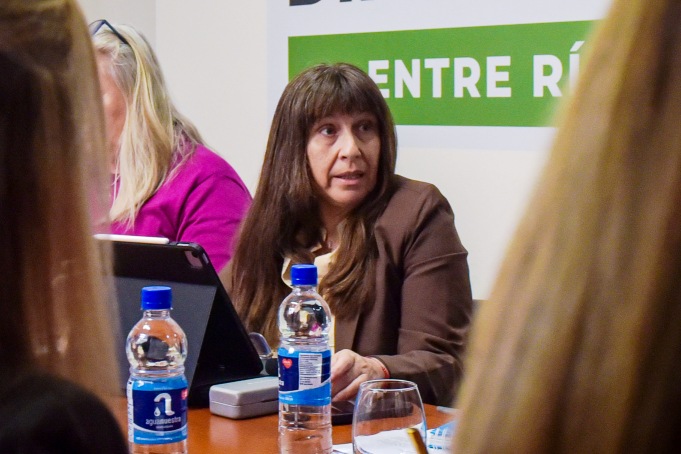 carina dominguez comision diputados