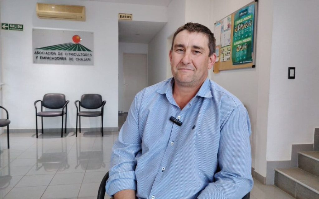 fecier molo pablo