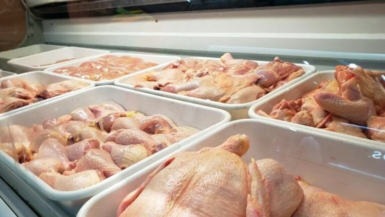pollos bandejas