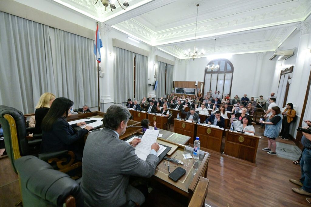 senadores nva