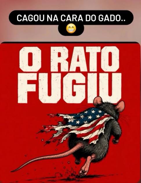 bolsonaro rata